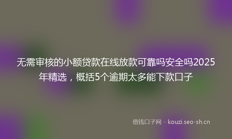 无需审核的小额贷款在线放款可靠吗安全吗2025年精选，概括5个逾期太多能下款口子