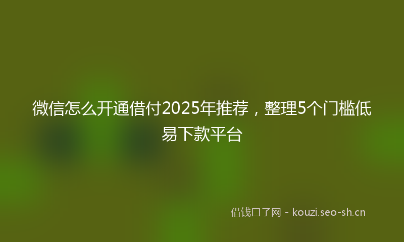 微信怎么开通借付2025年推荐，整理5个门槛低易下款平台