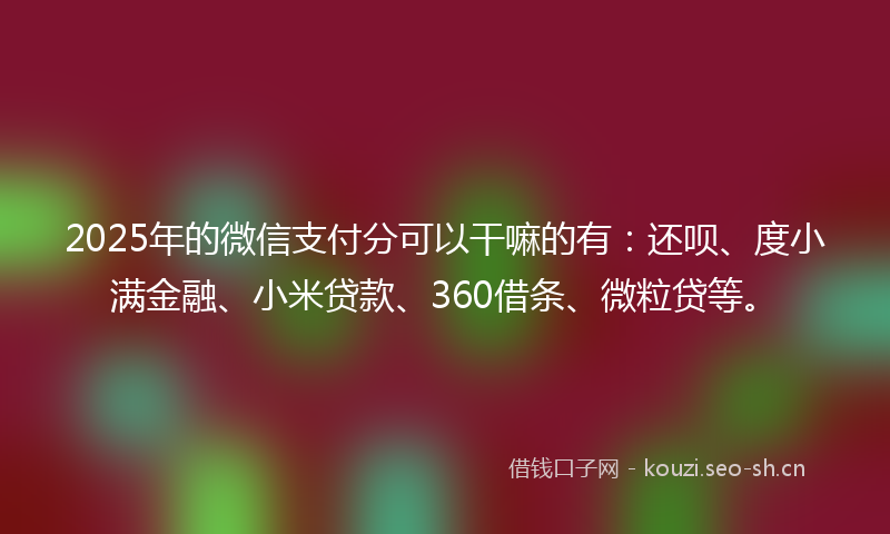 2025年的微信支付分可以干嘛的有：还呗、度小满金融、小米贷款、360借条、微粒贷等。