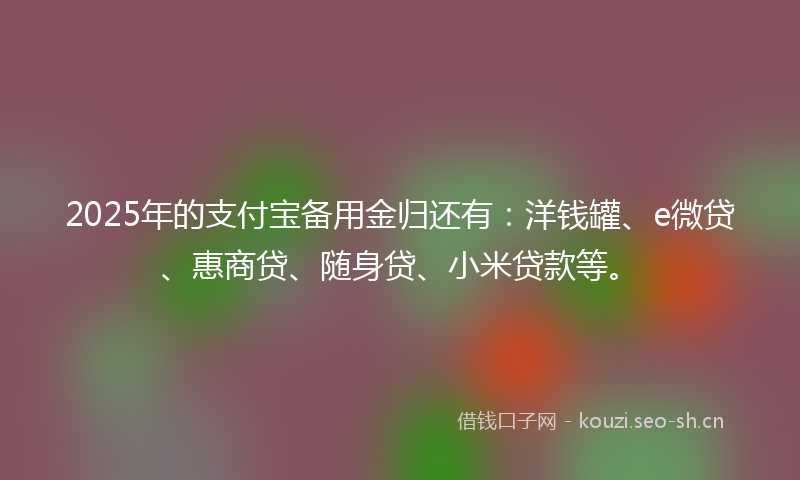 2025年的支付宝备用金归还有:洋钱罐、e微贷、惠商贷、随身贷、小米贷款等。