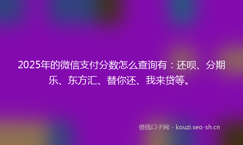 2025年的微信支付分数怎么查询有：还呗、分期乐、东方汇、替你还、我来贷等。