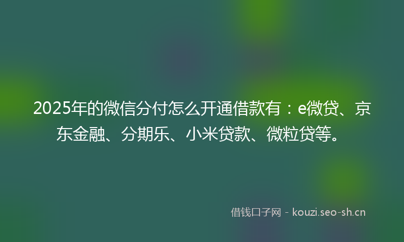 2025年的微信分付怎么开通借款有：e微贷、京东金融、分期乐、小米贷款、微粒贷等。