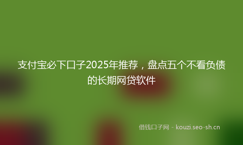 支付宝必下口子2025年推荐，盘点五个不看负债的长期网贷软件