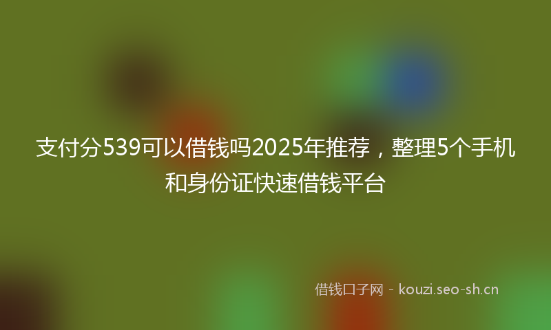 支付分539可以借钱吗2025年推荐，整理5个手机和身份证快速借钱平台