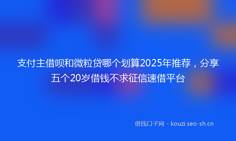 支付主借呗和微粒贷哪个划算2025年推荐，分享五个20岁借钱不求征信速借平台