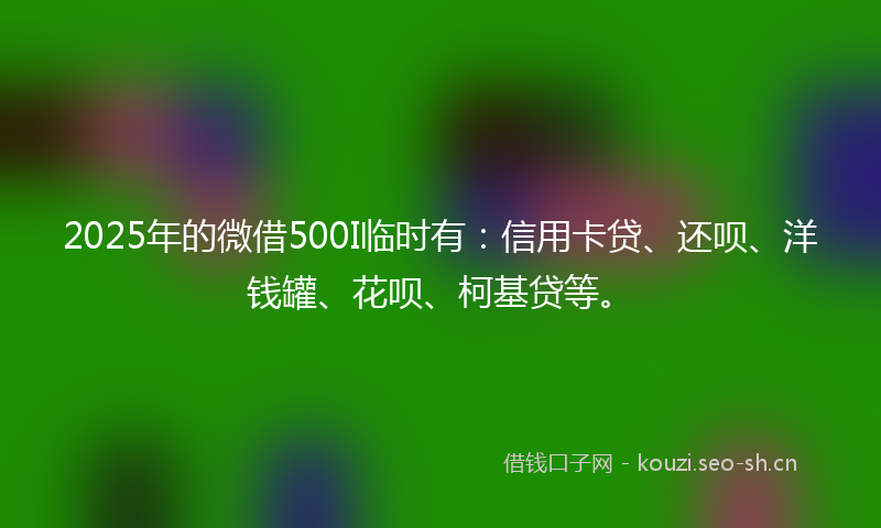 2025年的微借500I临时有：信用卡贷、还呗、洋钱罐、花呗、柯基贷等。