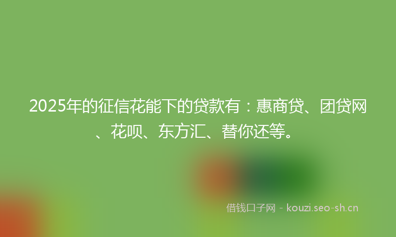 2025年的征信花能下的贷款有：惠商贷、团贷网、花呗、东方汇、替你还等。
