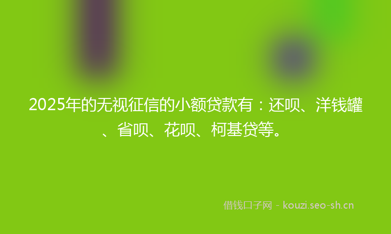 2025年的无视征信的小额贷款有：还呗、洋钱罐、省呗、花呗、柯基贷等。