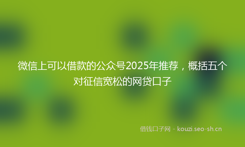 微信上可以借款的公众号2025年推荐，概括五个对征信宽松的网贷口子