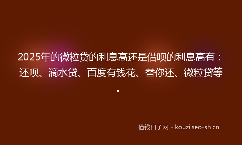 2025年的微粒贷的利息高还是借呗的利息高有：还呗、滴水贷、百度有钱花、替你还、微粒贷等。