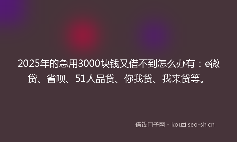 2025年的急用3000块钱又借不到怎么办有：e微贷、省呗、51人品贷、你我贷、我来贷等。