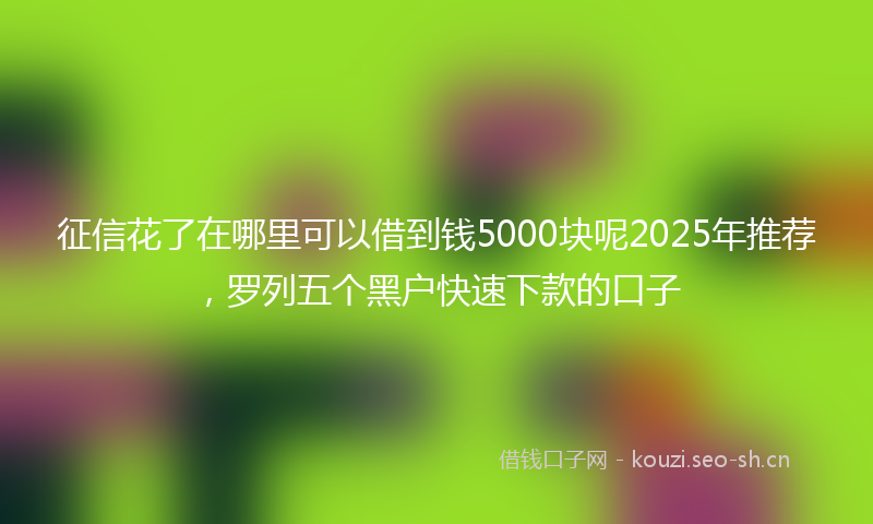 征信花了在哪里可以借到钱5000块呢2025年推荐,罗列五个黑户快速下款的口子