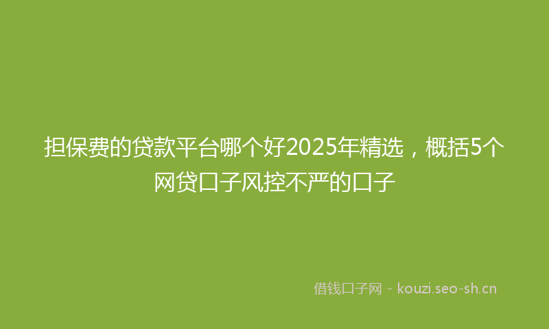 担保费的贷款平台哪个好2025年精选，概括5个网贷口子风控不严的口子
