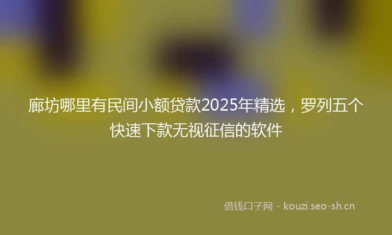 廊坊哪里有民间小额贷款2025年精选，罗列五个快速下款无视征信的软件