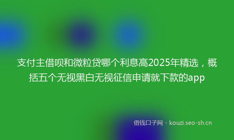 支付主借呗和微粒贷哪个利息高2025年精选，概括五个无视黑白无视征信申请就下款的app
