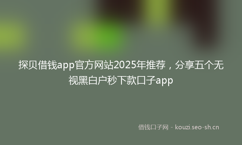 探贝借钱app官方网站2025年推荐，分享五个无视黑白户秒下款口子app