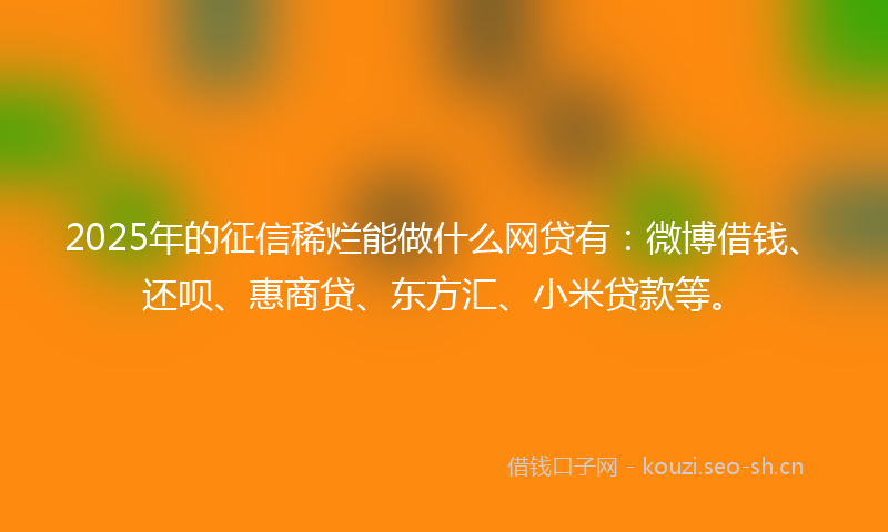 2025年的征信稀烂能做什么网贷有：微博借钱、还呗、惠商贷、东方汇、小米贷款等。