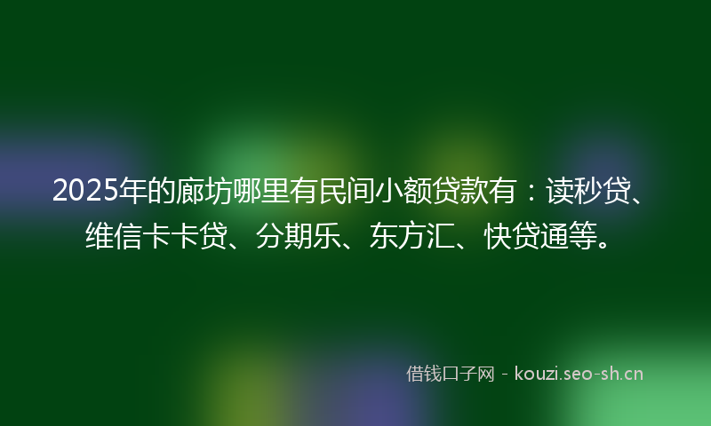 2025年的廊坊哪里有民间小额贷款有：读秒贷、维信卡卡贷、分期乐、东方汇、快贷通等。