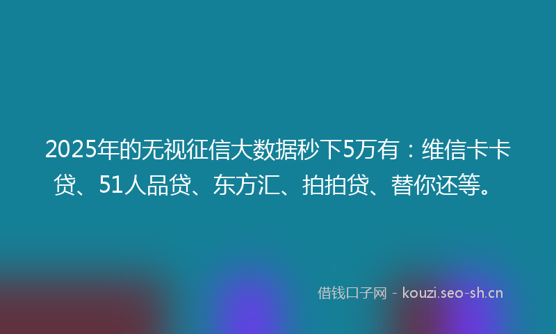 2025年的无视征信大数据秒下5万有：维信卡卡贷、51人品贷、东方汇、拍拍贷、替你还等。