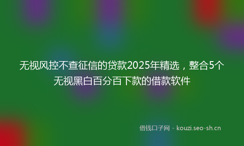 无视风控不查征信的贷款2025年精选，整合5个无视黑白百分百下款的借款软件