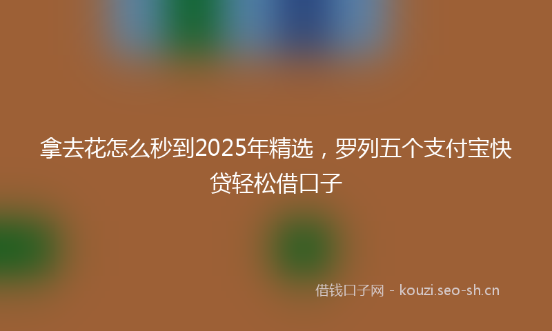 拿去花怎么秒到2025年精选，罗列五个支付宝快贷轻松借口子