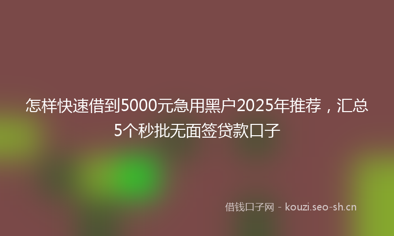 怎样快速借到5000元急用黑户2025年推荐，汇总5个秒批无面签贷款口子