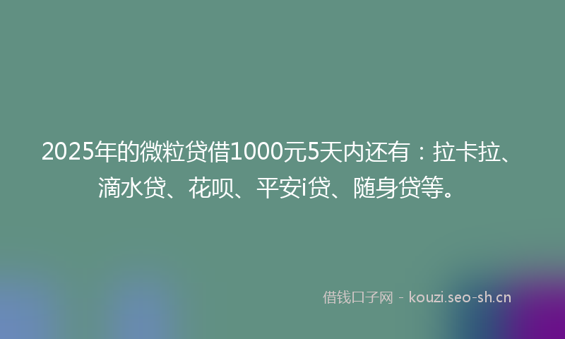 2025年的微粒贷借1000元5天内还有：拉卡拉、滴水贷、花呗、平安i贷、随身贷等。