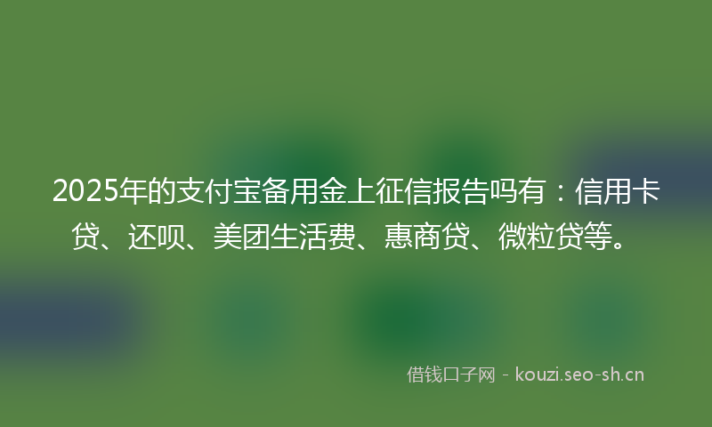 2025年的支付宝备用金上征信报告吗有:信用卡贷、还呗、美团生活费、惠商贷、微粒贷等。