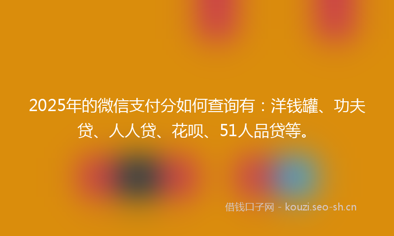 2025年的微信支付分如何查询有：洋钱罐、功夫贷、人人贷、花呗、51人品贷等。