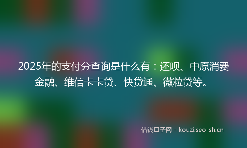 2025年的支付分查询是什么有：还呗、中原消费金融、维信卡卡贷、快贷通、微粒贷等。