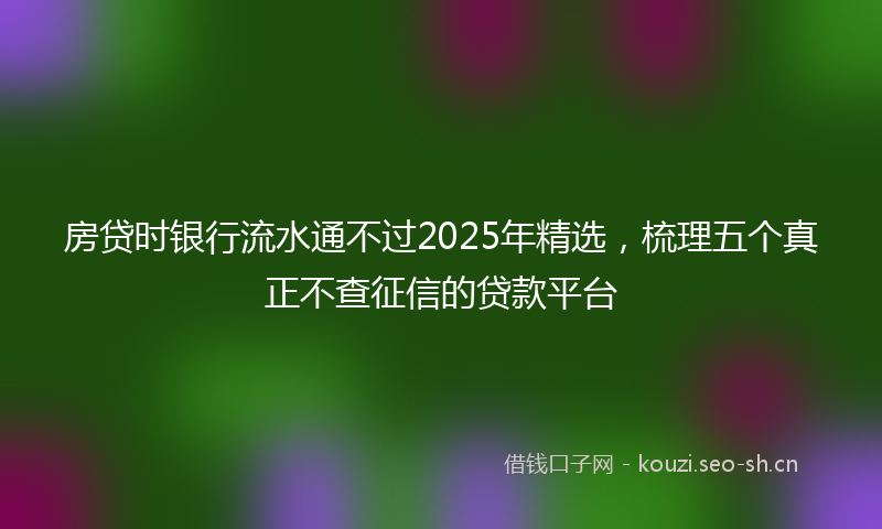 房贷时银行流水通不过2025年精选，梳理五个真正不查征信的贷款平台