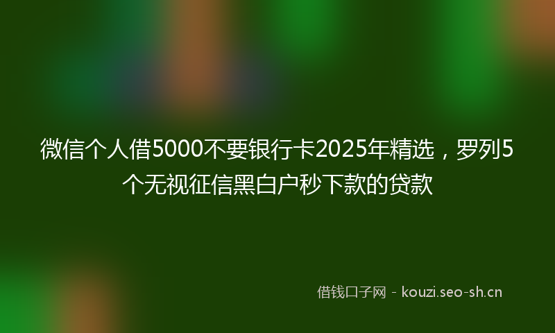 微信个人借5000不要银行卡2025年精选，罗列5个无视征信黑白户秒下款的贷款