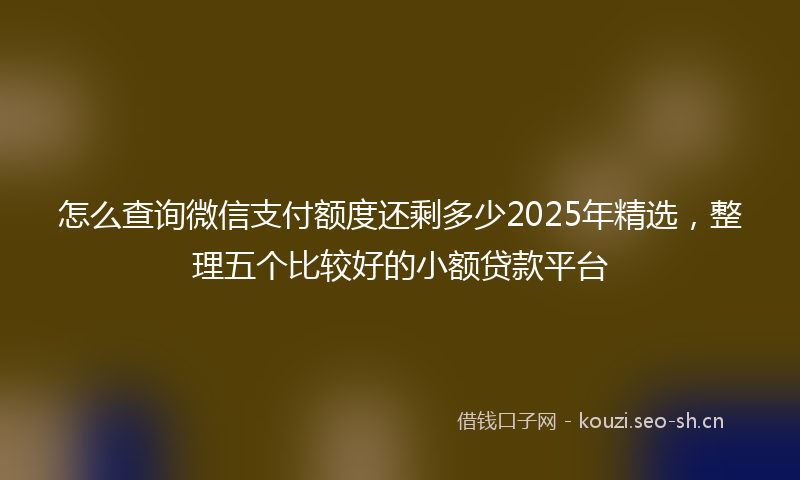 怎么查询微信支付额度还剩多少2025年精选，整理五个比较好的小额贷款平台