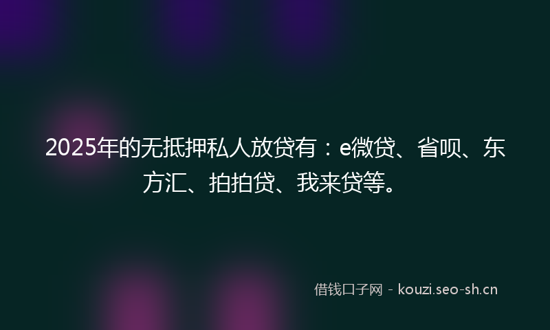 2025年的无抵押私人放贷有：e微贷、省呗、东方汇、拍拍贷、我来贷等。