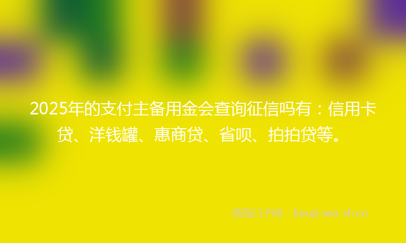2025年的支付主备用金会查询征信吗有：信用卡贷、洋钱罐、惠商贷、省呗、拍拍贷等。
