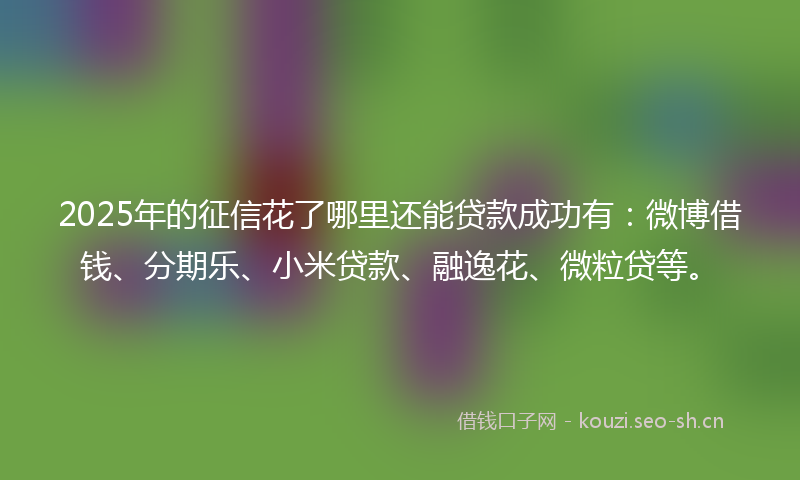 2025年的征信花了哪里还能贷款成功有：微博借钱、分期乐、小米贷款、融逸花、微粒贷等。