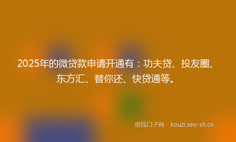2025年的微贷款申请开通有：功夫贷、投友圈、东方汇、替你还、快贷通等。