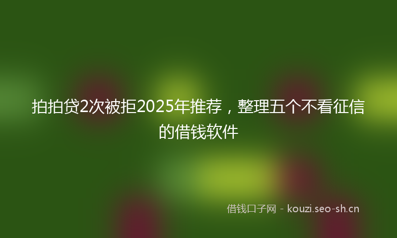 拍拍贷2次被拒2025年推荐，整理五个不看征信的借钱软件