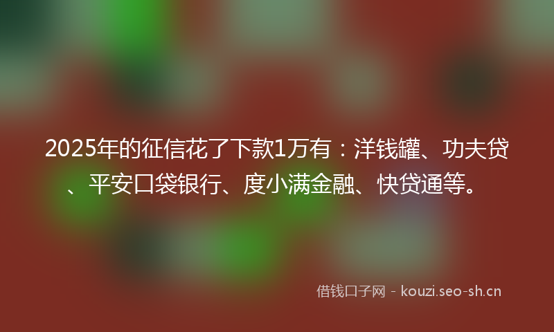 2025年的征信花了下款1万有：洋钱罐、功夫贷、平安口袋银行、度小满金融、快贷通等。