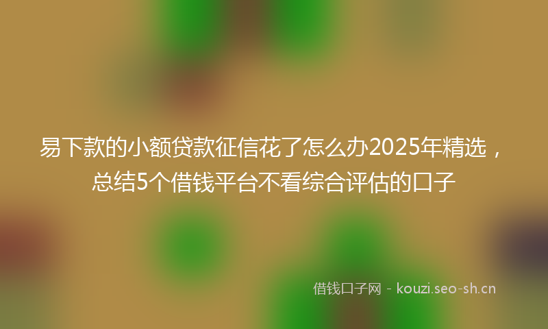 易下款的小额贷款征信花了怎么办2025年精选，总结5个借钱平台不看综合评估的口子