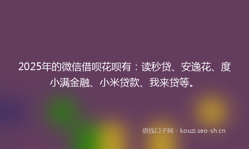 2025年的微信借呗花呗有：读秒贷、安逸花、度小满金融、小米贷款、我来贷等。
