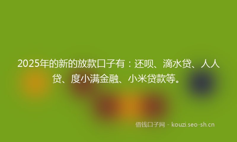 2025年的新的放款口子有：还呗、滴水贷、人人贷、度小满金融、小米贷款等。