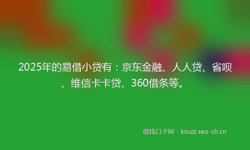 2025年的易借小贷有：京东金融、人人贷、省呗、维信卡卡贷、360借条等。
