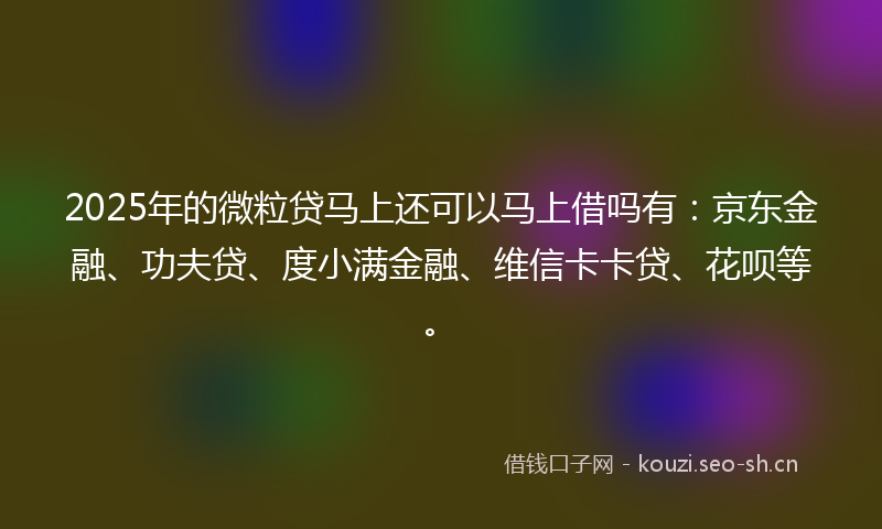2025年的微粒贷马上还可以马上借吗有：京东金融、功夫贷、度小满金融、维信卡卡贷、花呗等。
