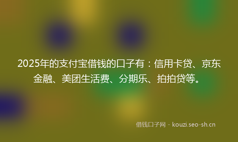 2025年的支付宝借钱的口子有：信用卡贷、京东金融、美团生活费、分期乐、拍拍贷等。