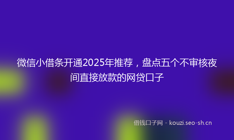 微信小借条开通2025年推荐，盘点五个不审核夜间直接放款的网贷口子