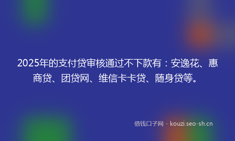 2025年的支付贷审核通过不下款有：安逸花、惠商贷、团贷网、维信卡卡贷、随身贷等。