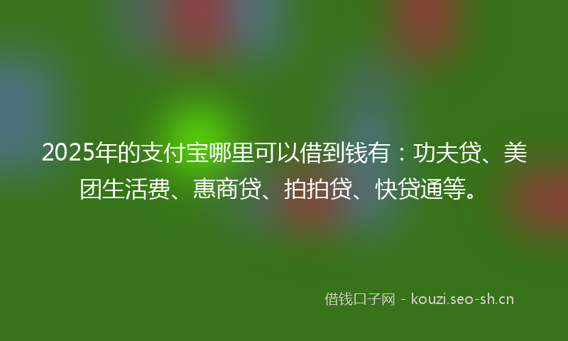 2025年的支付宝哪里可以借到钱有：功夫贷、美团生活费、惠商贷、拍拍贷、快贷通等。