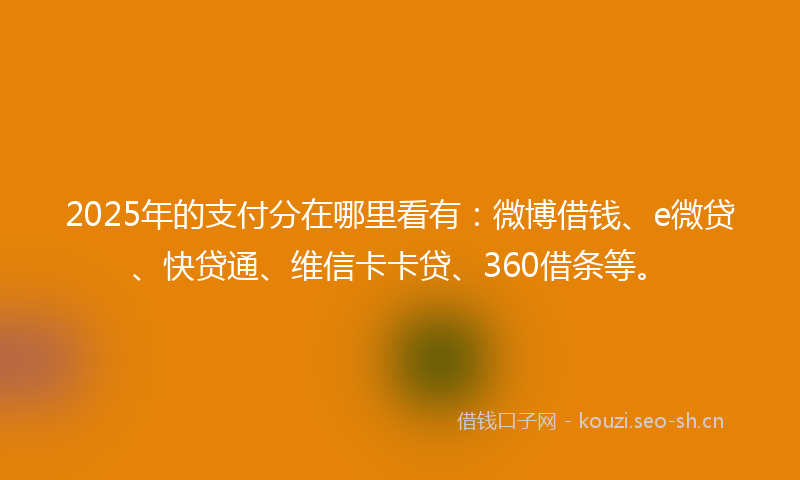 2025年的支付分在哪里看有：微博借钱、e微贷、快贷通、维信卡卡贷、360借条等。