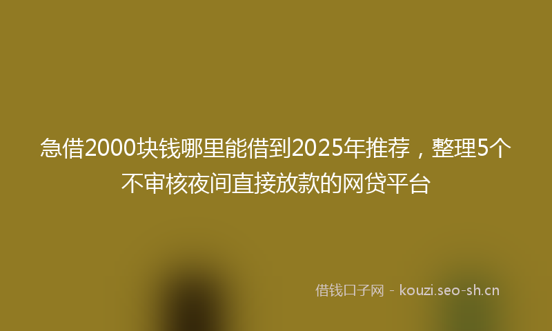 急借2000块钱哪里能借到2025年推荐，整理5个不审核夜间直接放款的网贷平台